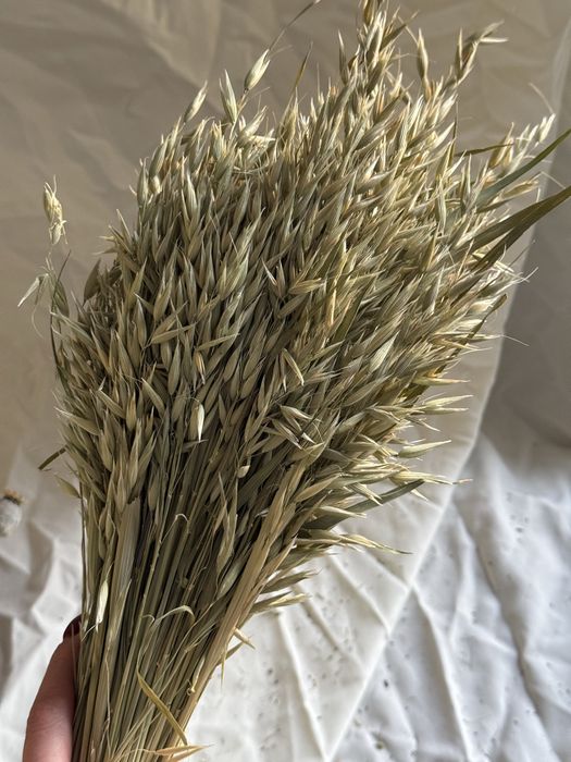 Сухоцвіти льон пшениця