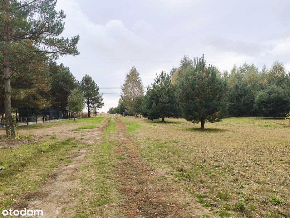 Urokliwa działka wśród nowej zabudowy domów.