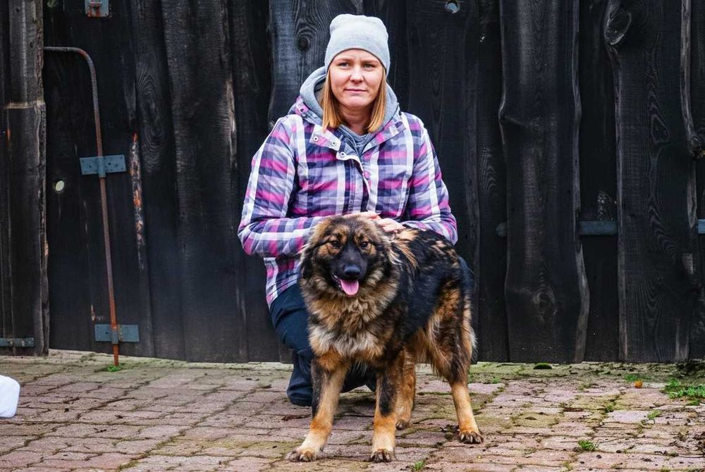 GONG - piękny, wesoły pies czeka na dom