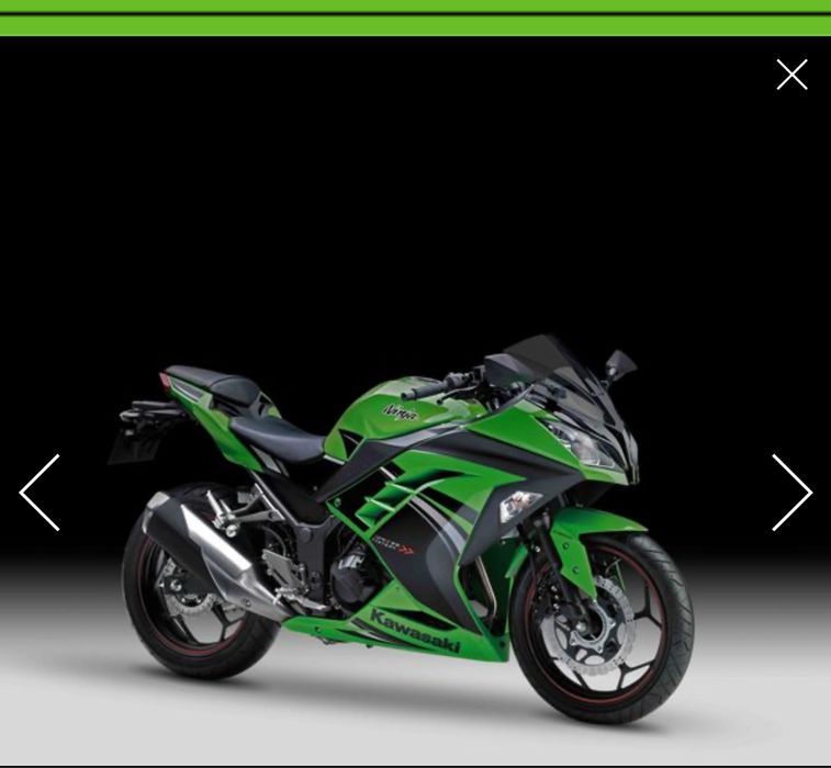 Carnagens completas Ninja 300