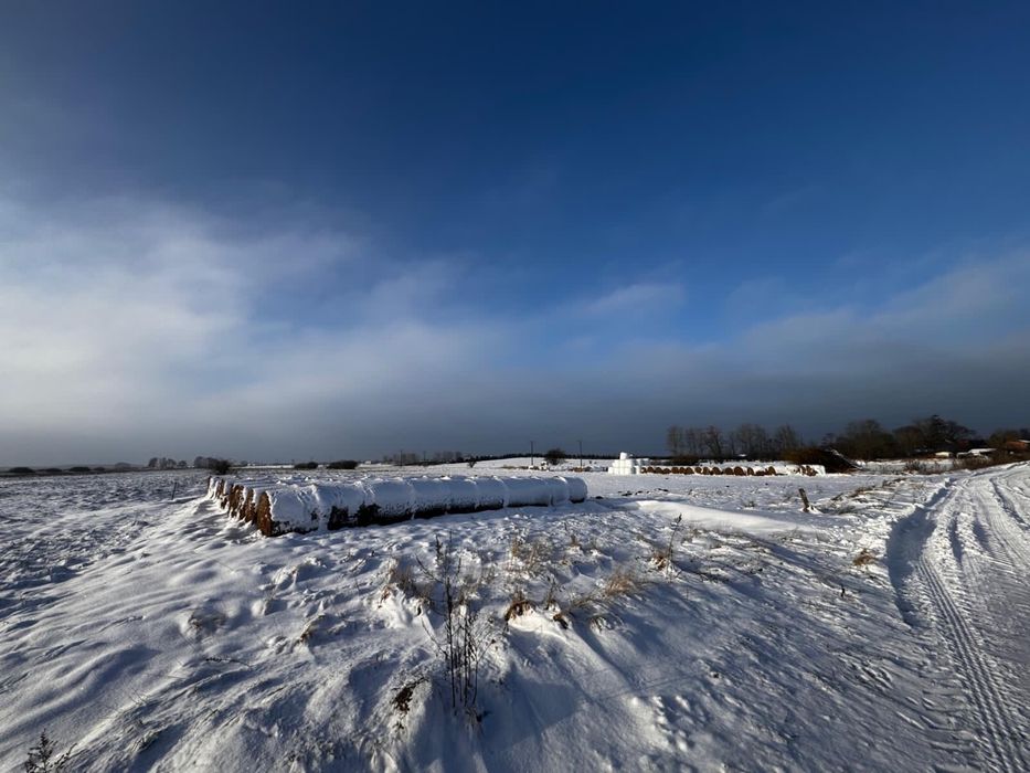 Działka rolna- siedliskowa