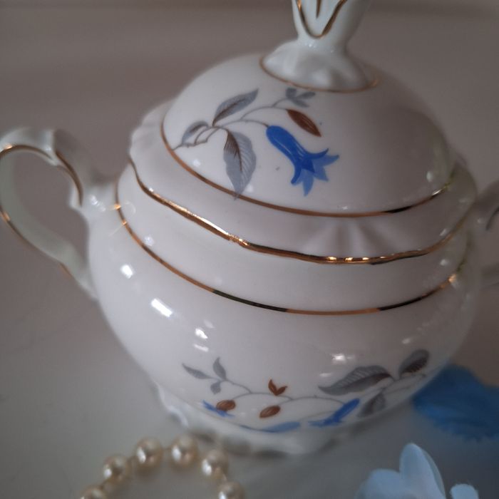 Piękna cukierniczka porcelanowa