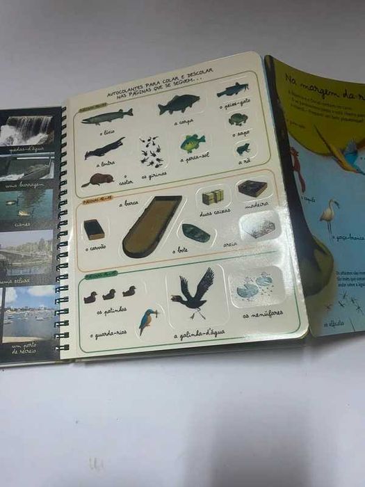 Livro didático - Viagem no rio!