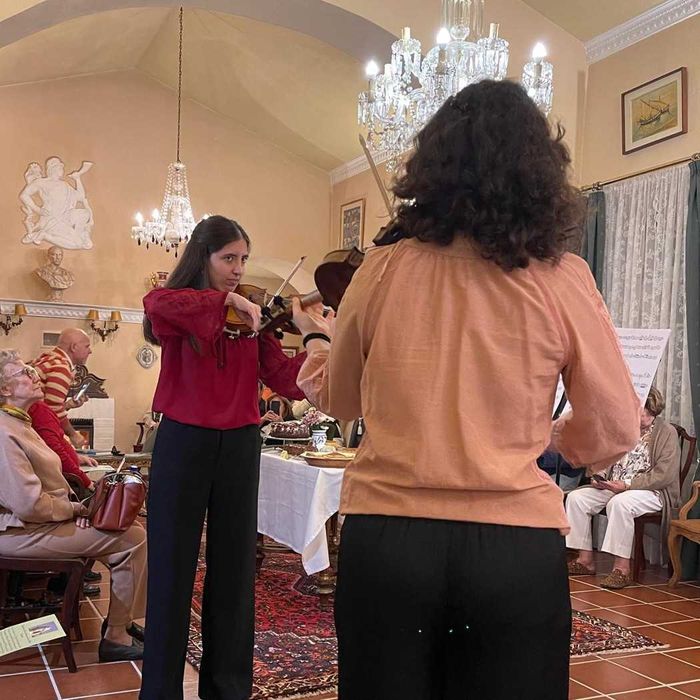 Músicos para casamentos e eventos - violino, piano e canto