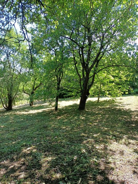 Działka rekreacyjna ROD "Kolejarz" Przemyśl - Widok 6