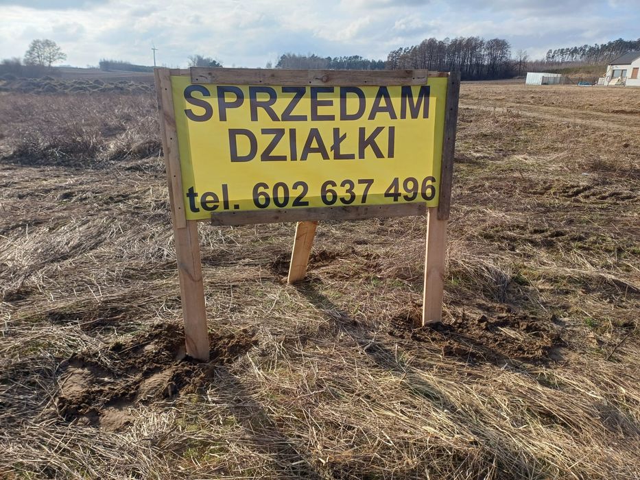 Zdjęcie 7
