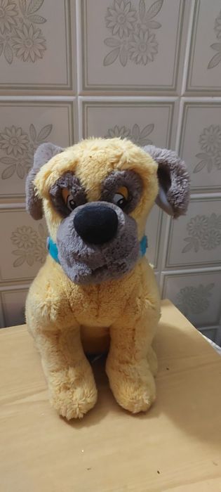 Собака большая продам