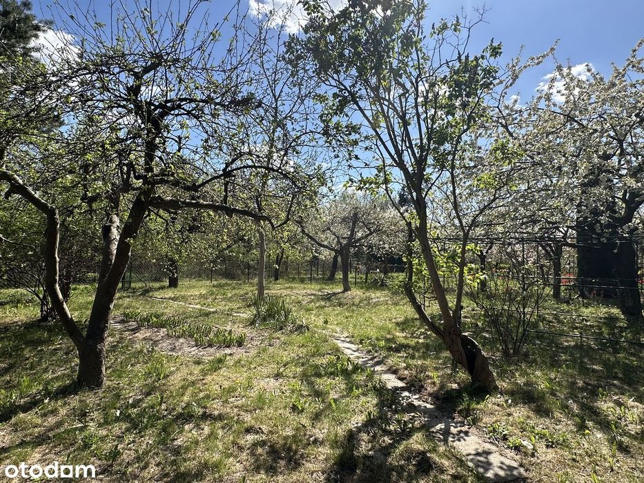 Klimatyczny ogród ROD na Górnym Mokotowie | 400 m² | starodrzew - Więcej