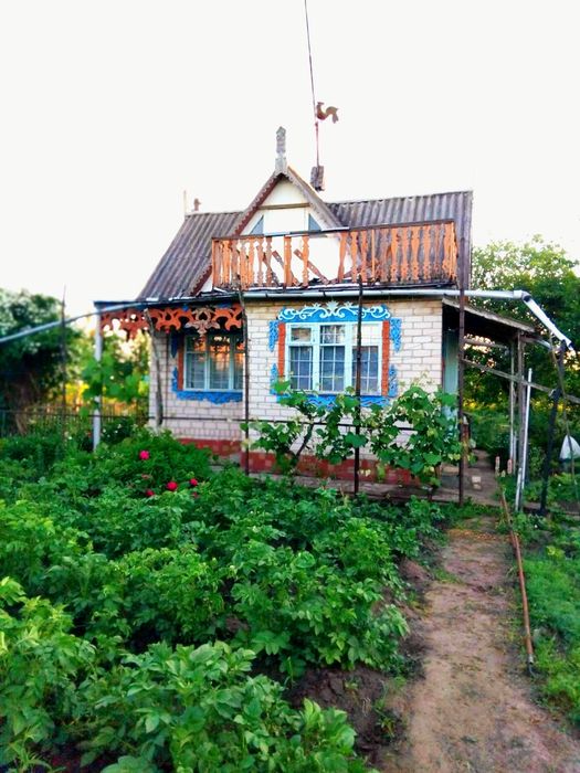 Продам дачу в садовому товаристві Світанок