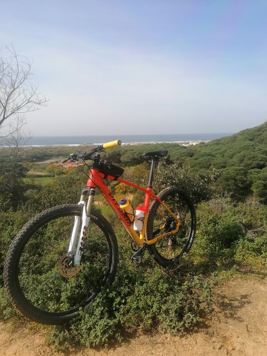 Bicicleta VITORIA  Ergos Xtralight 29"

BTT