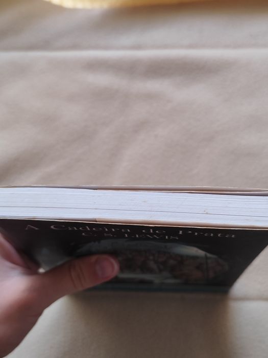 Livro "A Caldeira de Prata" das Crônicas de Nárnia