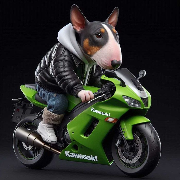 Картина на полотні "Bull Terrier & Kawasaki"