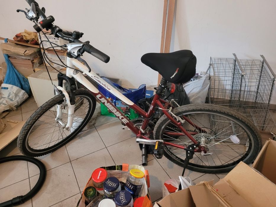 Rower unibike damski