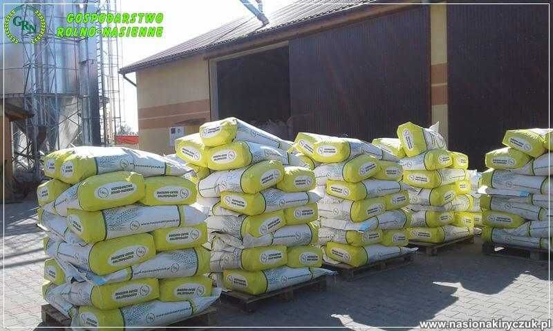 Materiał Siewny Kwalifikowany Zbóż Jarych-Zaprawiony Wiosna 2026