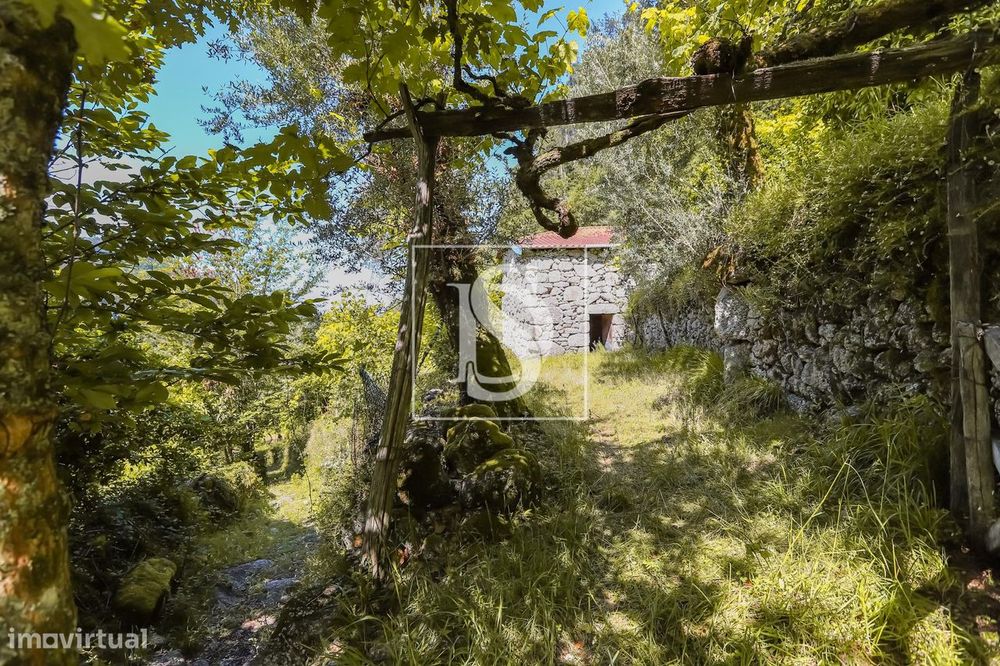 Moradia para Restaurar T2 Venda em Carvalheira,Terras de Bouro