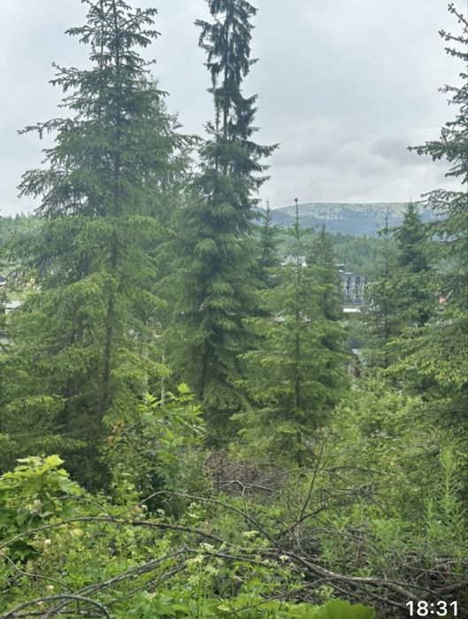 Продаж земельної ділянки 1 Га с.Поляниця Буковель