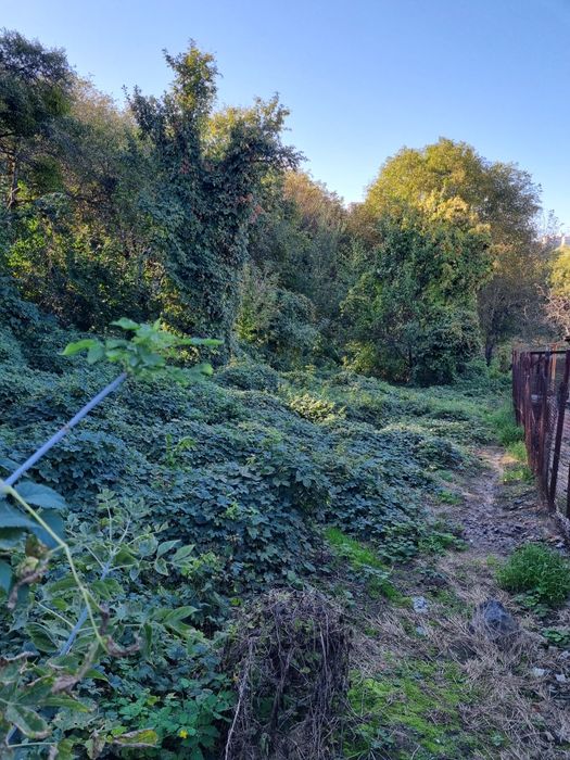 участок, земля , Совские пруды, Крутогорная