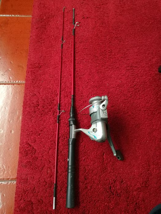 Cana de pésca + carreto