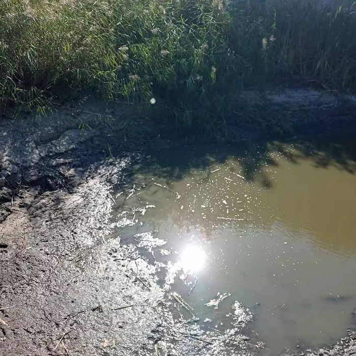 Укрепление берега.Укрепление берега дубовыми бревнами.Габионы.