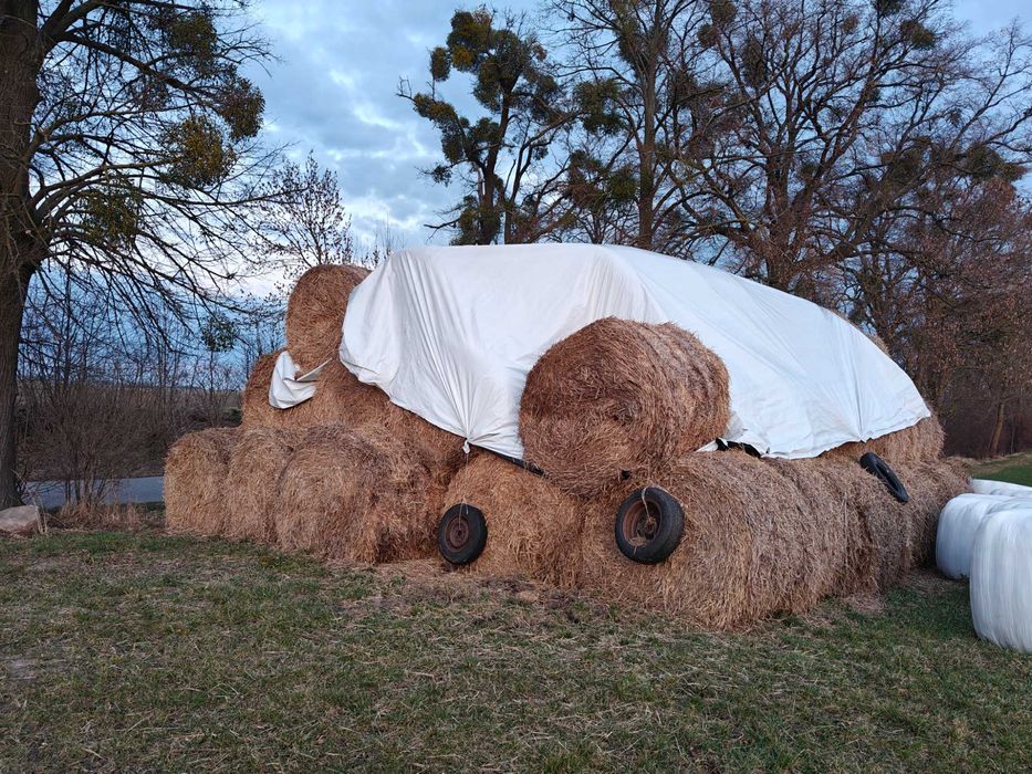 Słoma baloty 150x120