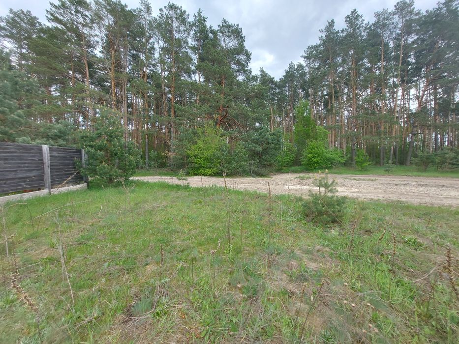 Ділянка Пряжів навпроти лісу (26104139)