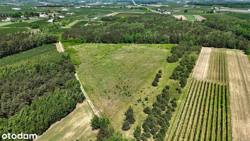 Działka 3,70 ha przy lesie- Żurawka, gmina Biała Rawska - Widok 5