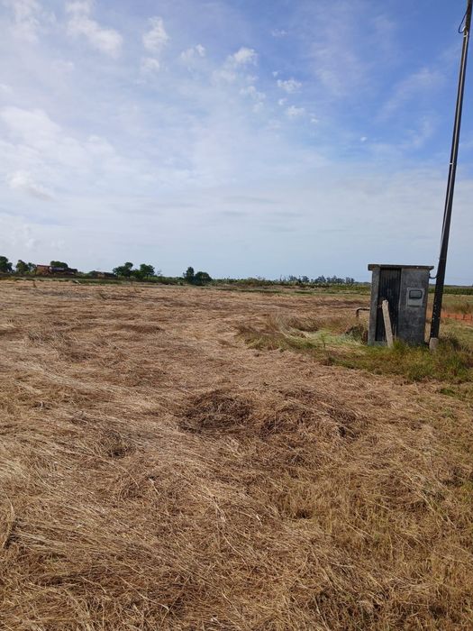 Terreno rústico com vista para a ria.