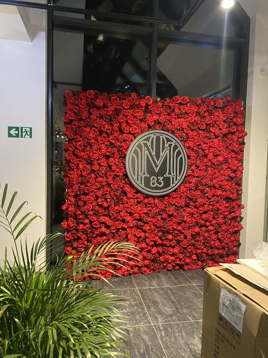 Ścianka kwiatowa 5D 240x240  Czerwone Róże  KRAKÓW  WYNAJEM !!!