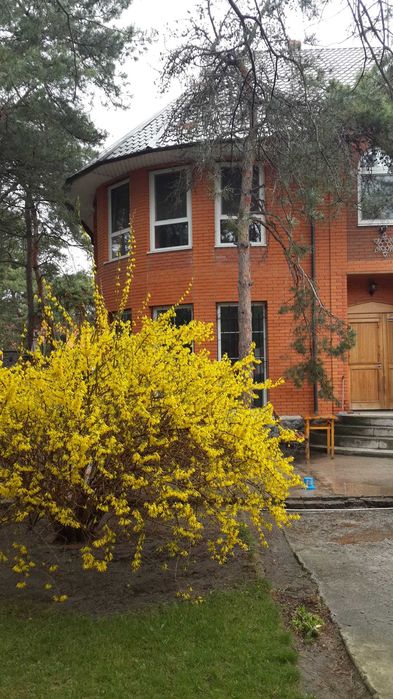 Продам дом в элитном районе