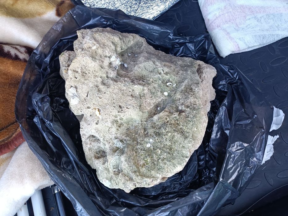 Rocha calcária para aquário