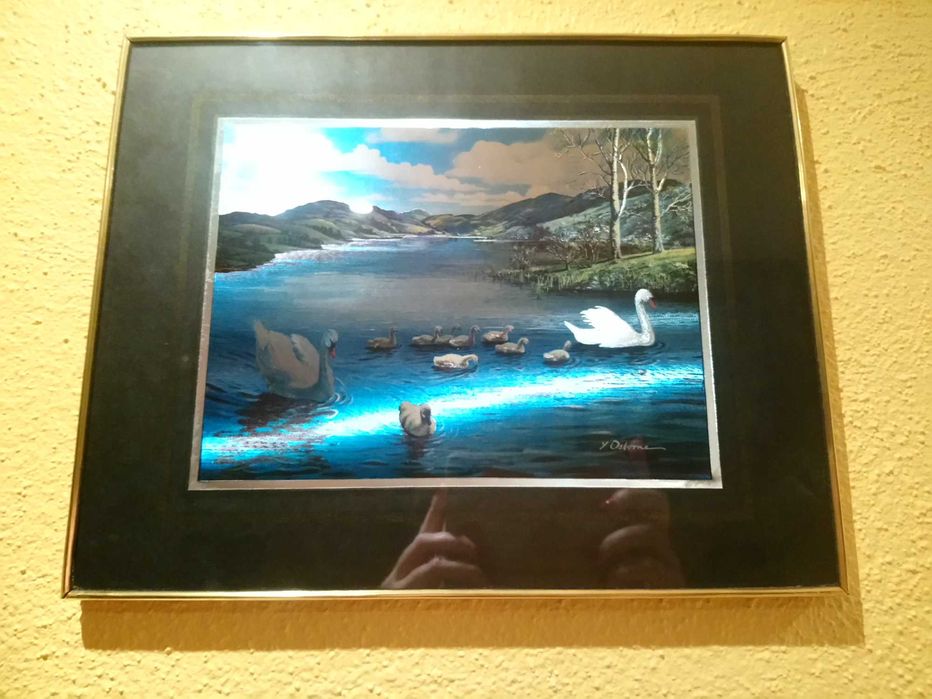 Shiny Paintings