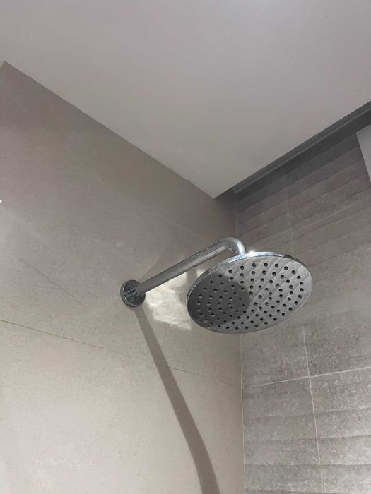 Deszczownica srebrna