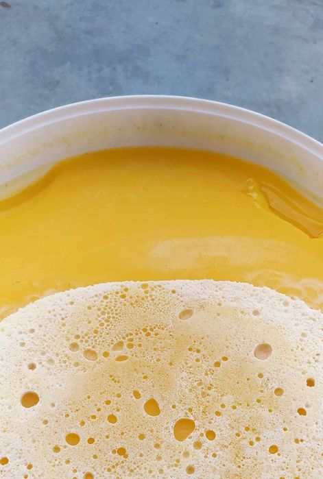 Miód Pszczeli Wielokwiatowy