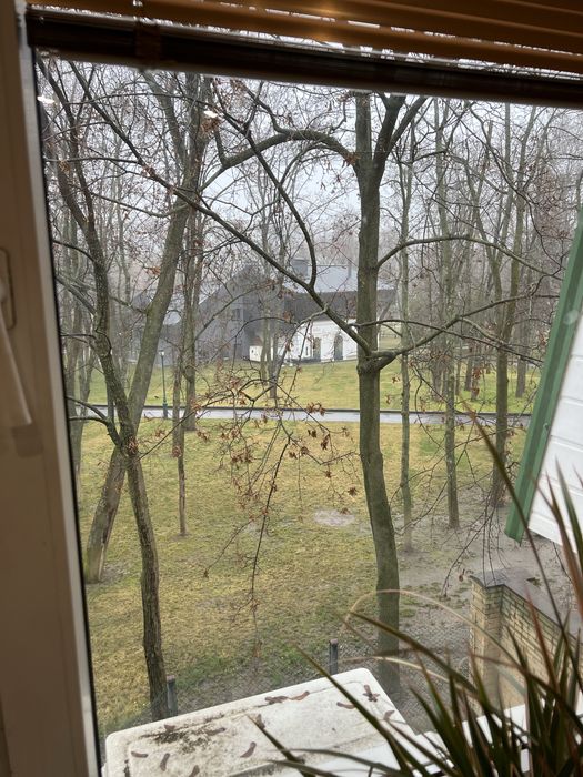 Сдам офис! Сумская, центр. Парк Шевченка.