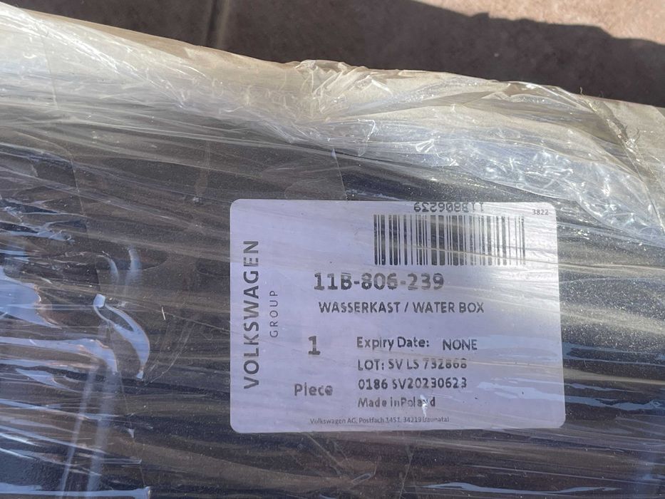 【本物】アグラオネマ　カーティシー　F株（管理番号） 本物】アグラオネマ カーティシー F株（管理番号）