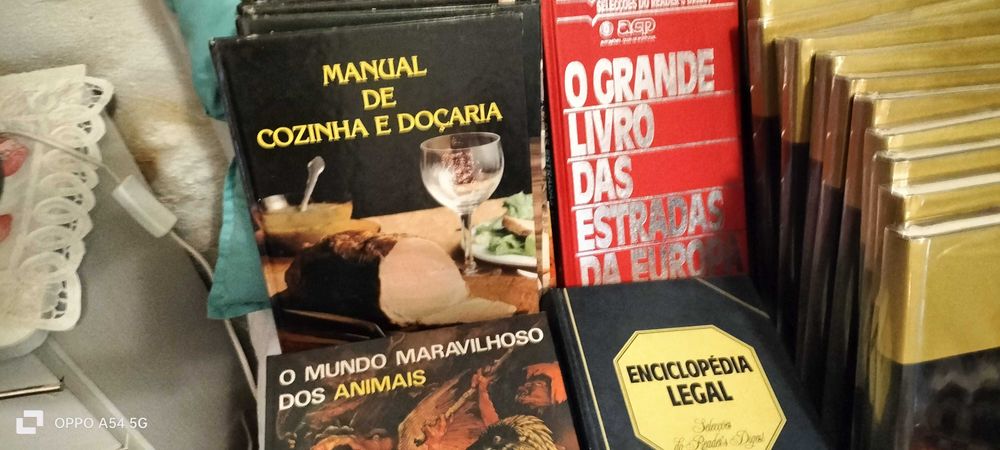 Diversos livros e enciclopédia