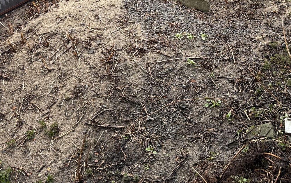 Віддам пісок безкоштовно