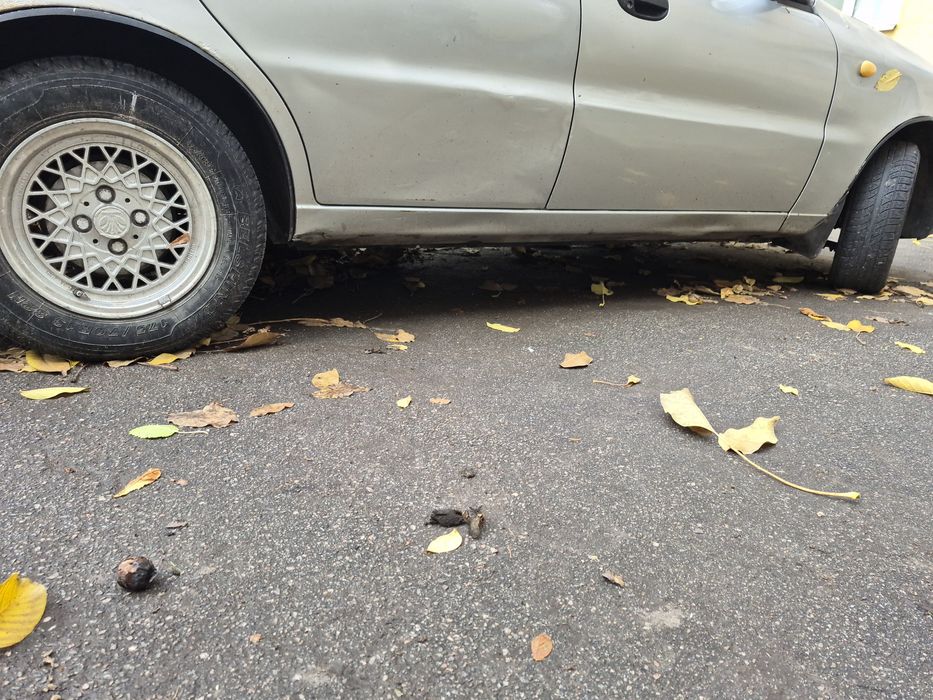 Продам Сенс 1.3.