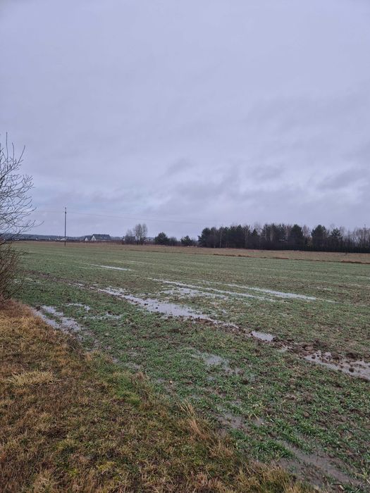 Działka budowlana Michałów Piotrków Trybunalski