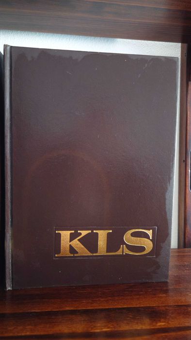 Dicionário Enciclopédico Koogan Larousse