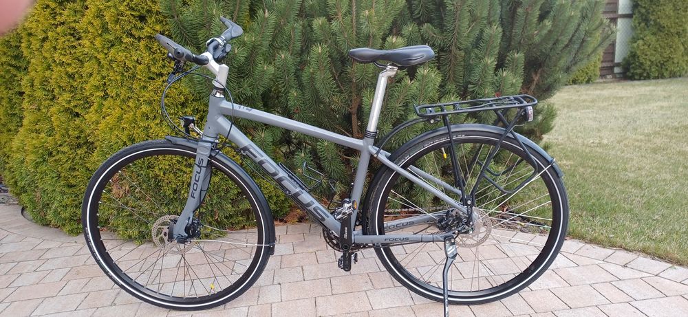 Focus Urban Impact, Alfine 8, damski, rozmiar S