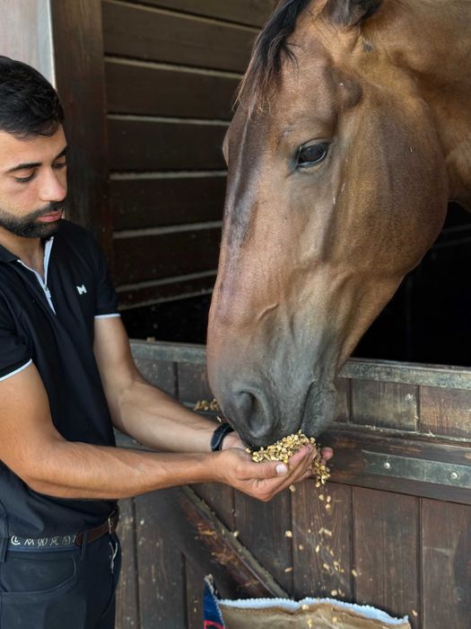 Feno de Prado para Cavalos, Alentejo e França