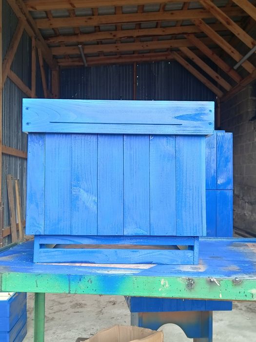 ule wielkopolskie nowe