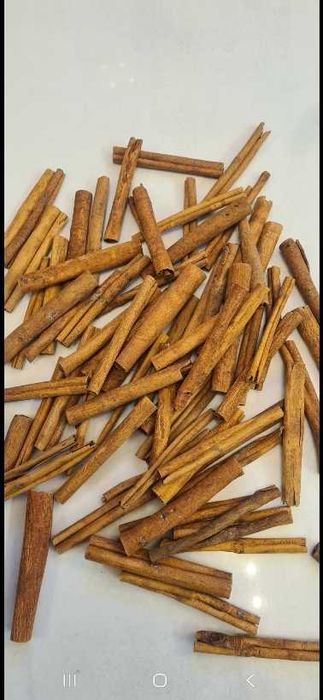 Laski cynamonu susz dekoracyjny - 8cm, 1000g
