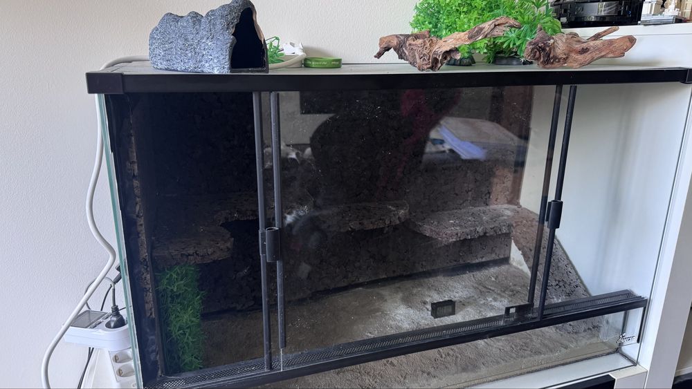 Terrarium Diversa czarne