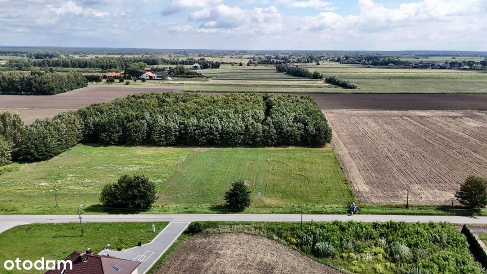 Puszcza Kampinoska! Kompleks 8 działek z WZ - Widok 3
