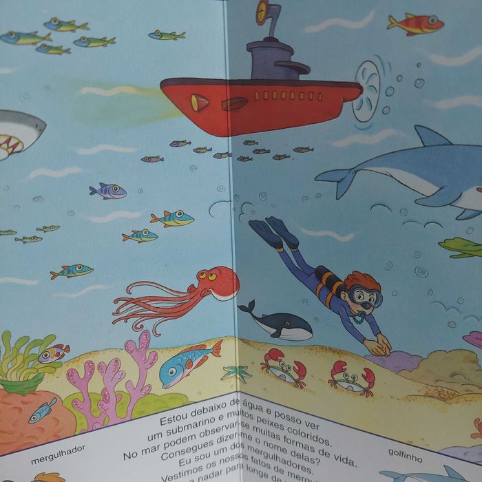 Minidicionário ilustrado