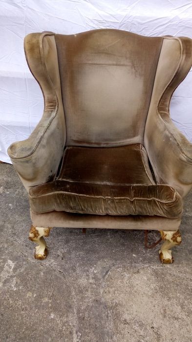 Maple de Orelhas Jaime ll (Pés de Garra e Bola) Inglês