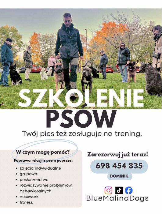 Trener psów, behawiorysta, szkolenie psów Jantar.