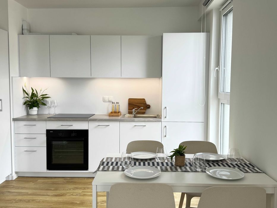 3 pokoje w centrum Katowic! 1 MC GRATIS!